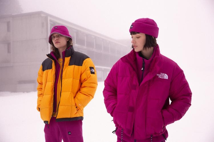 the north face capsule